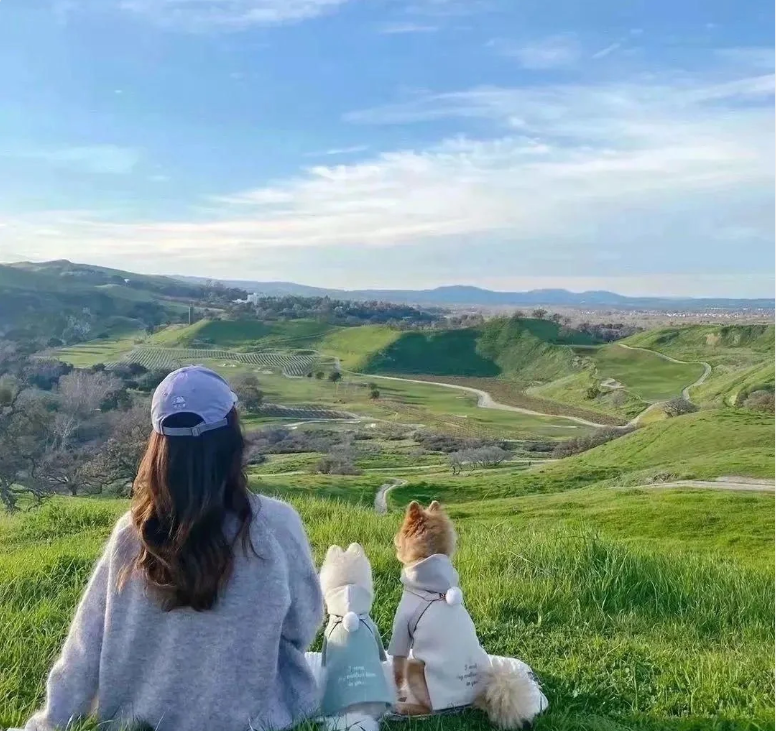 Shasha990339553's profile picture. No matter how high the sky is, standing on tiptoe is closer to the sun.