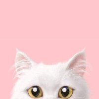 ππ²πΎπ΅πΈ (@imansafiyah20) 's Twitter Profile