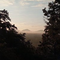 Maximilion (@max_maximilion) 's Twitter Profile