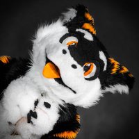 Sox(@SilySox) 's Twitter Profile Photo