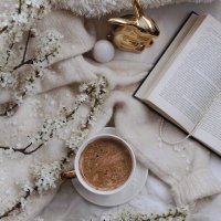 Stephanie Duncan (@stephanied70521) 's Twitter Profile