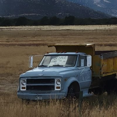 LightBlueChevy Profile Picture