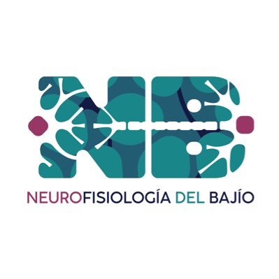 Neurofisiología Del Bajío