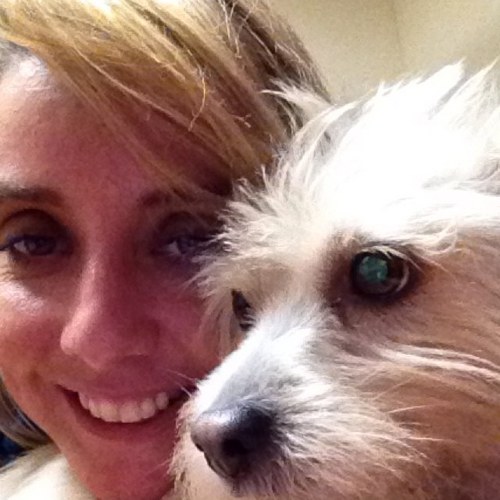 twest826's profile picture. 