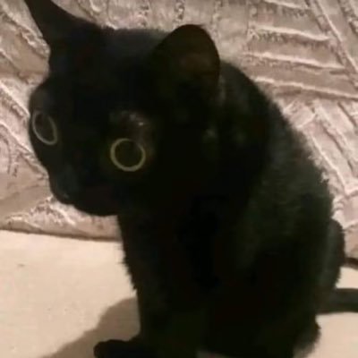 Inabilityyyyy's profile picture. 不要清我，我只是个吃饭的同人女。please do not delete me since I’m here just for some fanarts