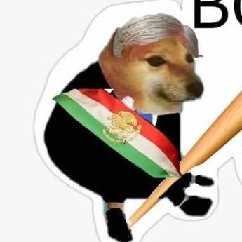 morada_cebolla's profile picture. 