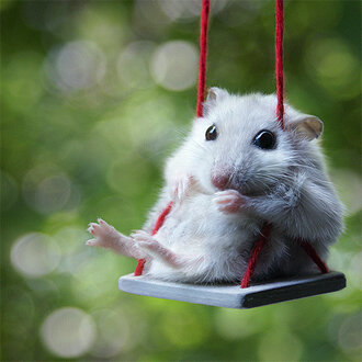 Coloy222's profile picture. Love the family life , want to cook always, Retired :)