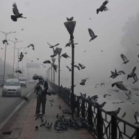 Irfan Yattoo ( عرفان یتو) (@irfanyattoo) 's Twitter Profile Photo Irfan Yattoo ( عرفان یتو) (@irfanyattoo) 's Twitter Profile Photo