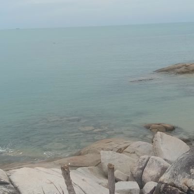 Ayu53575801's profile picture. 