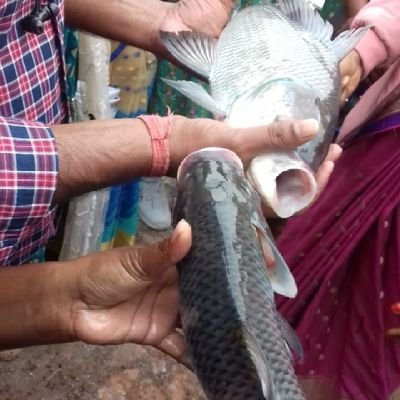 खूंटपानी पश्चिम सिंहभूम, सामाजिक कार्यकर्ता