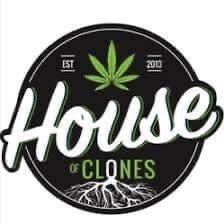 sells clones and seeds, with THC of over 25%, we base in United States and ship overseas with two day priority to ensure your clones arrive in stellar condition