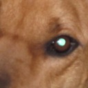 Bill Whitehouse - @AMGryMan - Twitter