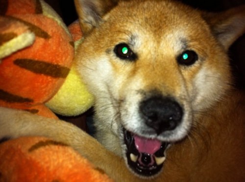 Yuhei_Yano's profile picture. 