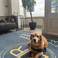 BJR FINANCIAL PLANNING (@bjrfinancial) 's Twitter Profile Photo