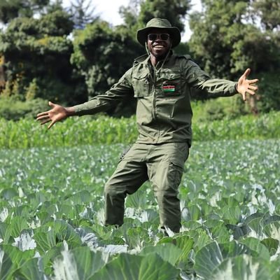 antoniomudongi's profile picture. An Agribusiness Technologist