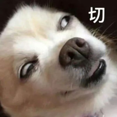 yuriluo1984's profile picture. 