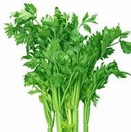 TheAPIO's profile picture. Argentinian President In Office (APIO). POTUS counterpart #hamuketsu