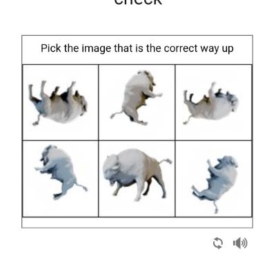 ZenCoding11's profile picture. Zen Coding build and link communities.