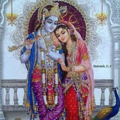 cheeku_bab68104's profile picture. 