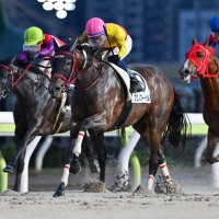 福田真広厩舎 / 大井競馬場小林分場 (@fukudastable) 's Twitter Profile