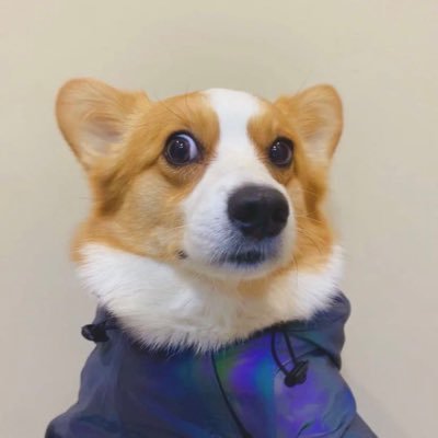 liangxuy's profile picture. 