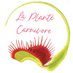 La Plante Carnivore (@LPCcards) Twitter profile photo