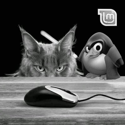 LaurentRemn's profile picture. Misanthrope à temps plein