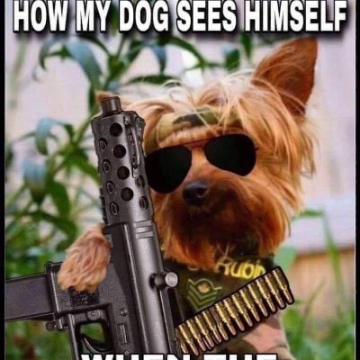 #StopBestiality #OpChildSafety #OpStopSuicide
💞Anonymous 💞 💞 mydogs 💞 #Reform
reposts do not signify agreement, I repost things of interest
#Christian