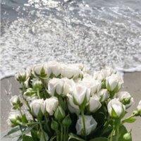 نُهى . (@19_1no) Twitter profile photo