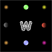 Wholesum network 🦥 (@wholesumnet) 's Twitter Profile