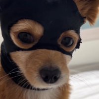 μ’
μ΄ (@dr_ea_mj) 's Twitter Profile Photo μ’
μ΄ (@dr_ea_mj) 's Twitter Profile Photo