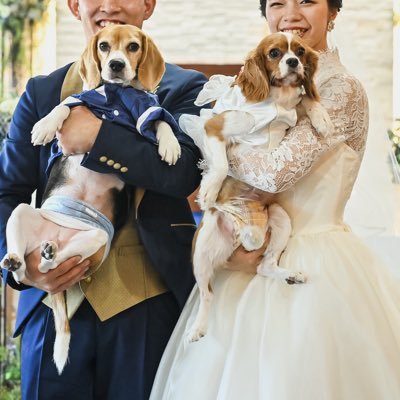 4歳ビーグルのびっつ✖️6歳キャバリアのまむの日常をアップしていきます🐾🐾🤍4人家族👦🏻👧🏻🐕🐕（無言フォロー失礼します🙇‍♀️愛犬アカ100%フォロバしてます🐶♡）