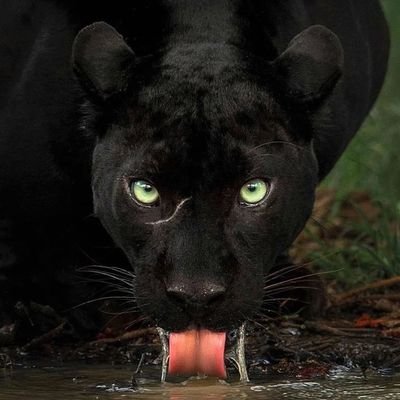 Anu kpọrọ nku n'eju ọnu.
Anu ana agba egbe ọna ami yoghurt.
NSE 3 | Cybersec | Tryhackme top 6% | Cisco Cyberops Badged (via CyberSafe) | GCP | Asp. Cloudsec