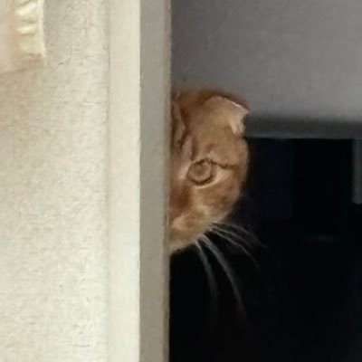 moさんのプロフィール画像