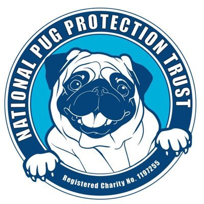 🇺🇸 IM CYCLING ROUTE 66 🇺🇸 To raise £3669 for the National Pug Protection Trust - https://t.co/Gr4e9DCmV8