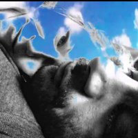 Arman Kalteis (@armanbehpournia) 's Twitter Profile Photo