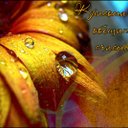 Layne Kim - @LayneKim166228 - Twitter