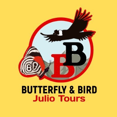We are protect the biodiversity of Ecuador through ecotourism. come to discover bird watching and butterflies photography tours
