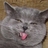 OttovonKuerbis's profile image