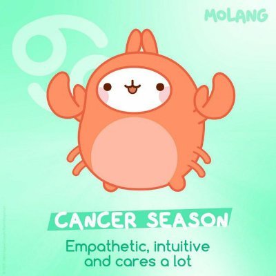 shrimpyjournal's profile picture. I'm pretty good at managing my portfolio, and never trade against me. 
https://t.co/Hoen1SJpdq (degen) and https://t.co/HD7PRXY1UW (spot) on telegram