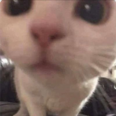 (تَوَفَّنِي مُسلِمًا وَأَلحِقنِي بِالصَّالِحِينَ)
حساب للنساء، غير مرحّب بالرجال❌️