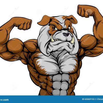 NFL and MLB fan,carnivore,working out,Former listless vessel who finally seen the light. The GOP is not a serious party. newly independent. The country is gone