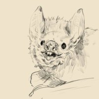 Bailey (@mr_mceye) 's Twitter Profile