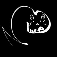 Luce (@luce_9090) 's Twitter Profile