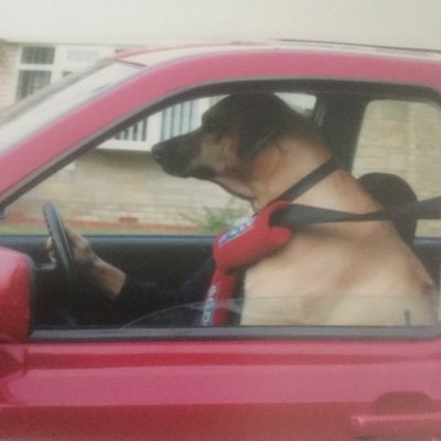 Watto1519's profile picture. Retired Gambler
HWTL