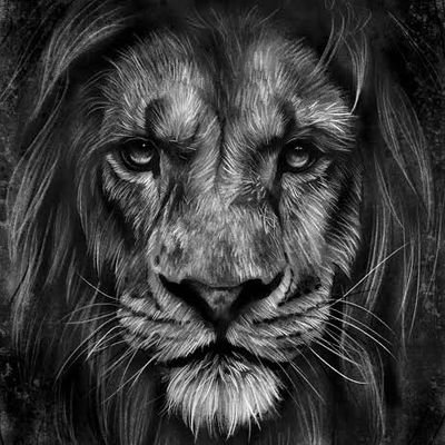 ottoemma03's profile picture. 