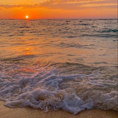 noble_maka's profile picture. Sci&Tech//Nature//Hiking/Adventure//... (Arsenalfc).
POSITIVE+GREEDY