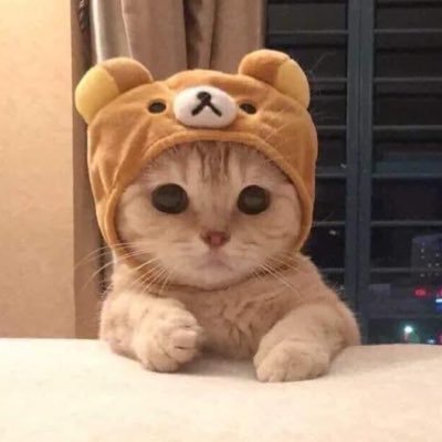 tahmmyfn's profile picture. Fortnite Content and Map Creator