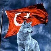 Enver07 (@enverlker687291) Twitter profile photo