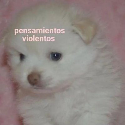 MaruDiceCosas's profile picture. Dos lloraditas porque tres es mucho tiempo